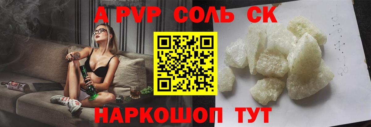 APVP СК Кузнецк